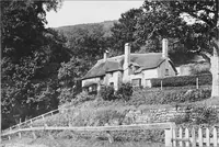 Picture 80 of 142 from Picturesque English cottages and their doorway gardens (1905), leaf 74