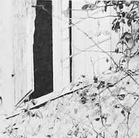 An illustration from Picturesque English cottages and their doorway gardens (1905)