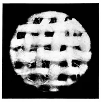 Picture 16 of 17 from Color and its applications (1921), leaf 367