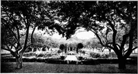 An illustration from Houses for town or country (1907)