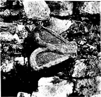 Picture 46 of 313 from Irish ecclesiastical architecture, with some notice of similar or related work in England, Scotland and elsewhere (1910), leaf 116