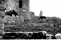 Picture 70 of 313 from Irish ecclesiastical architecture, with some notice of similar or related work in England, Scotland and elsewhere (1910), leaf 144