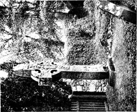 Picture 107 of 313 from Irish ecclesiastical architecture, with some notice of similar or related work in England, Scotland and elsewhere (1910), leaf 202