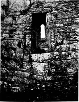 Picture 139 of 313 from Irish ecclesiastical architecture, with some notice of similar or related work in England, Scotland and elsewhere (1910), leaf 236