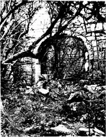 An illustration from Irish ecclesiastical architecture, with some notice of similar or related work in England, Scotland and elsewhere (1910)