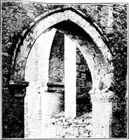 An illustration from Irish ecclesiastical architecture, with some notice of similar or related work in England, Scotland and elsewhere (1910)