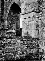 Picture 182 of 313 from Irish ecclesiastical architecture, with some notice of similar or related work in England, Scotland and elsewhere (1910), leaf 304