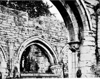 An illustration from Irish ecclesiastical architecture, with some notice of similar or related work in England, Scotland and elsewhere (1910)