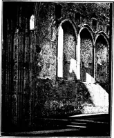 Picture 216 of 313 from Irish ecclesiastical architecture, with some notice of similar or related work in England, Scotland and elsewhere (1910), leaf 356