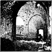 Picture 223 of 313 from Irish ecclesiastical architecture, with some notice of similar or related work in England, Scotland and elsewhere (1910), leaf 364