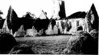 Picture 241 of 313 from Irish ecclesiastical architecture, with some notice of similar or related work in England, Scotland and elsewhere (1910), leaf 380