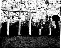 Picture 253 of 313 from Irish ecclesiastical architecture, with some notice of similar or related work in England, Scotland and elsewhere (1910), leaf 390