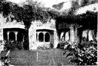 An illustration from Irish ecclesiastical architecture, with some notice of similar or related work in England, Scotland and elsewhere (1910)