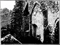 An illustration from Irish ecclesiastical architecture, with some notice of similar or related work in England, Scotland and elsewhere (1910)