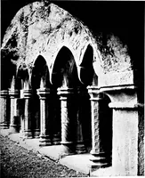 An illustration from Irish ecclesiastical architecture, with some notice of similar or related work in England, Scotland and elsewhere (1910)