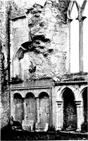 Picture 313 of 313 from Irish ecclesiastical architecture, with some notice of similar or related work in England, Scotland and elsewhere (1910), leaf 470