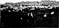 An illustration from Irish ecclesiastical architecture, with some notice of similar or related work in England, Scotland and elsewhere (1910)