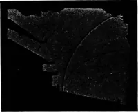 Picture 45 of 97 from Collected papers on acoustics (1922), leaf 196