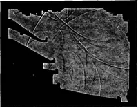 Picture 47 of 97 from Collected papers on acoustics (1922), leaf 196