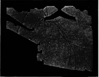 Picture 48 of 97 from Collected papers on acoustics (1922), leaf 196