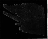 Picture 74 of 97 from Collected papers on acoustics (1922), leaf 249
