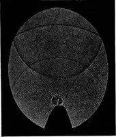 Picture 88 of 97 from Collected papers on acoustics (1922), leaf 278
