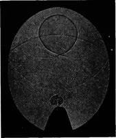 Picture 89 of 97 from Collected papers on acoustics (1922), leaf 278
