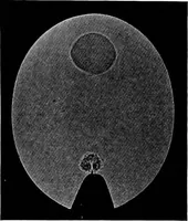 Picture 90 of 97 from Collected papers on acoustics (1922), leaf 278