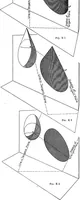 An illustration from Shades and shadows, with applications to architectural details, and exercises in drawing them with the brush and pen .. (1912)