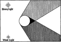Picture 37 of 155 from Shades and shadows, with applications to architectural details, and exercises in drawing them with the brush and pen .. (1912), leaf 34