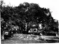 An illustration from New homes under old roofs (1916)