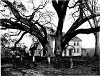 Picture 27 of 76 from New homes under old roofs (1916), leaf 48