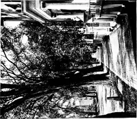 Picture 60 of 167 from The colonial architecture of Salem (1919), leaf 176