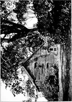 Picture 24 of 90 from Old New England houses (1920), leaf 92