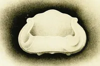 Picture 173 of 395 from Book of home building and decoration, prepared in cooperation with and under the direction of the leading manufacturers of the country (1912), leaf 134