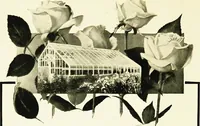 Picture 387 of 395 from Book of home building and decoration, prepared in cooperation with and under the direction of the leading manufacturers of the country (1912), leaf 254