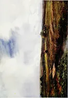 An illustration from The Royal institute of painters in water colours (1906)