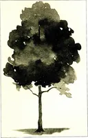 An illustration from A Course in water color for the first eight years in school; with illustrative plates in color and in black-and-white (1900)