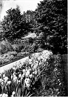 An illustration from The livable house, its garden (1917)