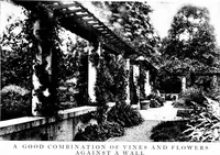 Picture 43 of 105 from The livable house, its garden (1917), leaf 104