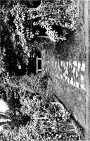 An illustration from The livable house, its garden (1917)