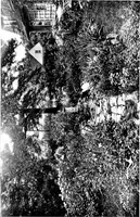 An illustration from The livable house, its garden (1917)