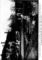 Picture 55 of 105 from The livable house, its garden (1917), leaf 129