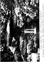 Picture 64 of 105 from The livable house, its garden (1917), leaf 141