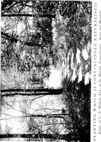 Picture 66 of 105 from The livable house, its garden (1917), leaf 144