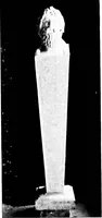 Picture 78 of 105 from The livable house, its garden (1917), leaf 174
