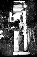 An illustration from The livable house, its garden (1917)