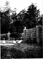 Picture 93 of 105 from The livable house, its garden (1917), leaf 189