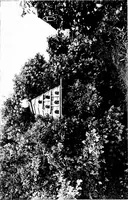 Picture 101 of 105 from The livable house, its garden (1917), leaf 198