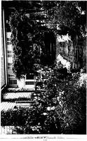 An illustration from The livable house, its garden (1917)
